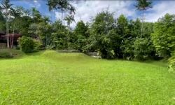 Sanny Park (D11), Detached #568231081